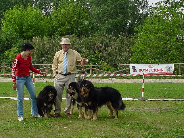 Immagine 086.jpg